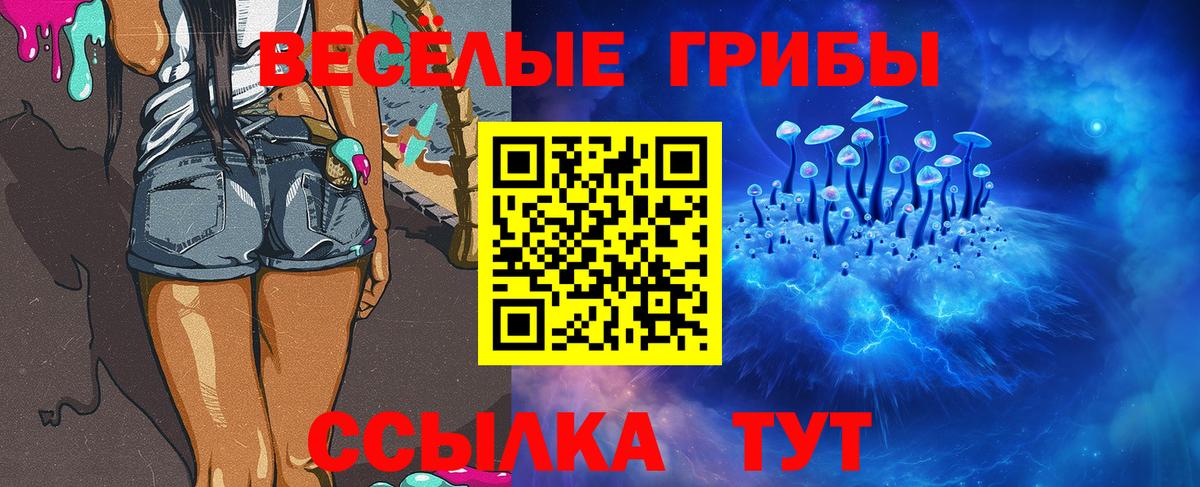 Псилоцибиновые грибы Psilocybe  Вход с VPN  Североморск 