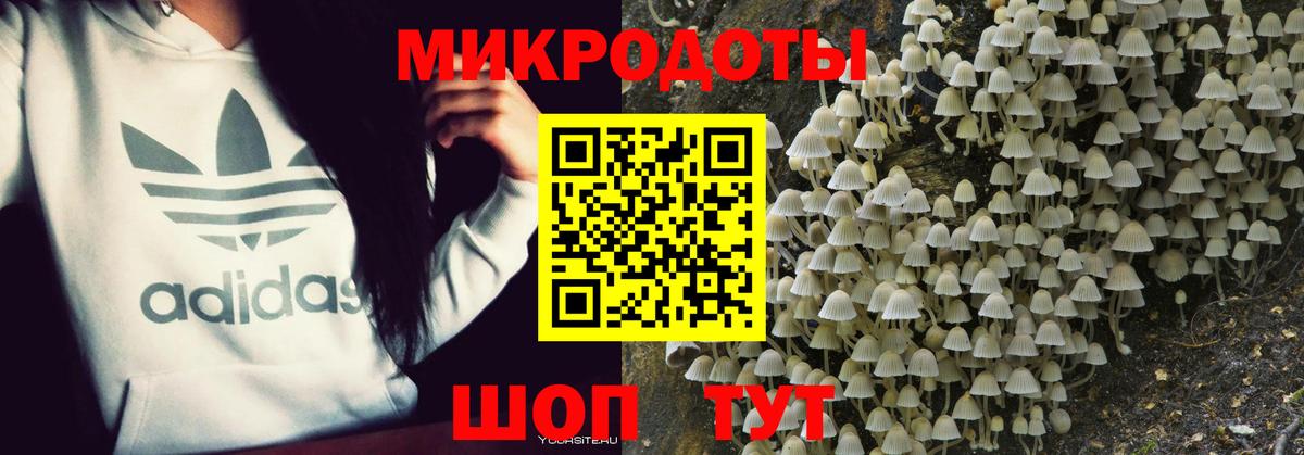 Галлюциногенные грибы мухоморы Североморск